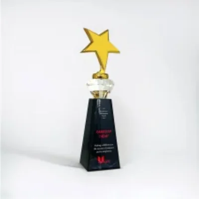 Gold Star Trophy