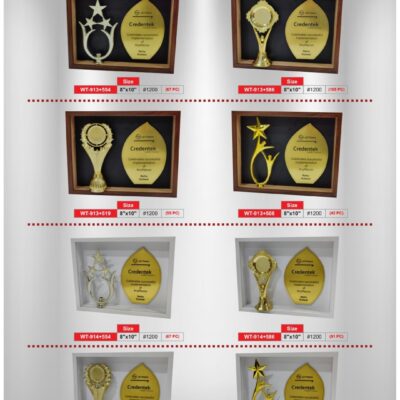 Plaques